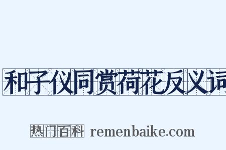 和子仪同赏荷花反义词是什么意思的图片